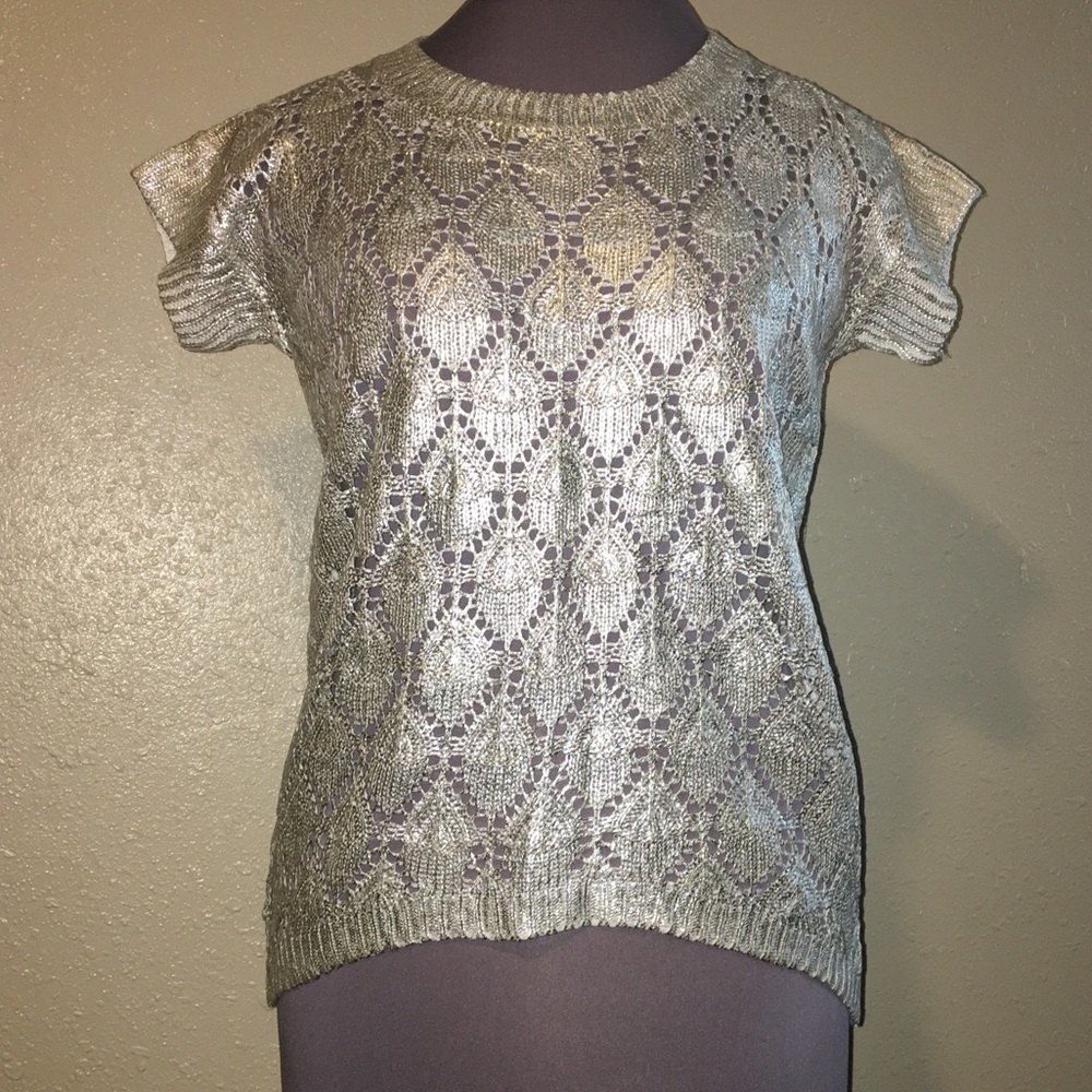 2 Sisters Shiny Metallic Silver Crocheted Sweater.